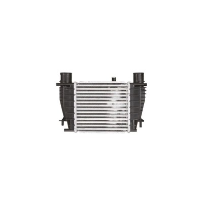 Intercooler NISSAN JUKE F15 AVA Quality Cooling DN4356 foto