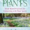 Communicating with Plants: Heart-Based Practices for Connecting with Plant Spirits