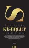 K&iacute;s&eacute;rlet a siker&uuml;lt napr&oacute;l - Peter Handke