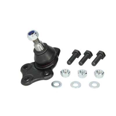 Pivot Dacia DUSTER FORTUNE LINE FZ3299 foto