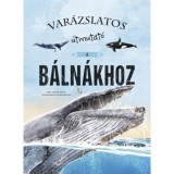 Var&aacute;zslatos &uacute;tmutat&oacute; a b&aacute;ln&aacute;khoz - Eliseo Garc&iacute;a Nieto