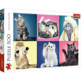 Puzzle 500 piese - Kittens | Trefl