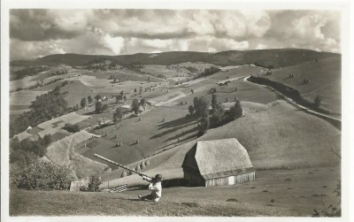 AMS# - ILUSTRATA/VEDERE VEDERE DIN MUNTII APUSENI RPR NECIRCULATA foto