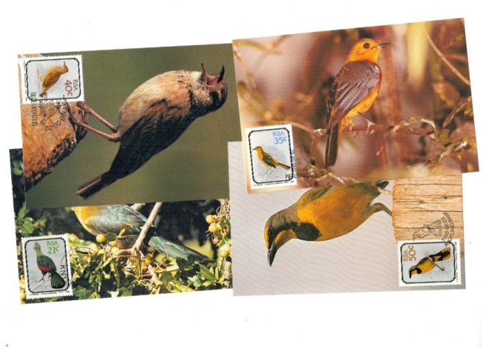 Africa de Sud 1990 - Păsări, set 4 maxime