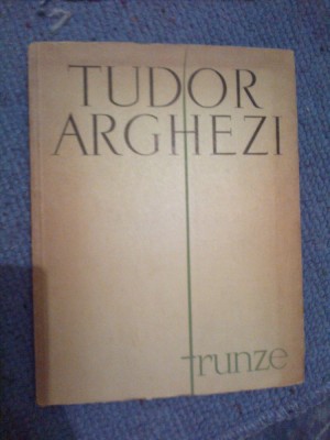 n8 Frunze - Tudor Arghezi foto