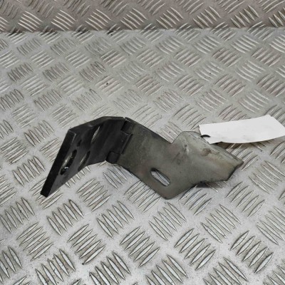 Balama capota dreapta față JAGUAR XJ X308 1999 OEM: AXX-1300 23170641 foto