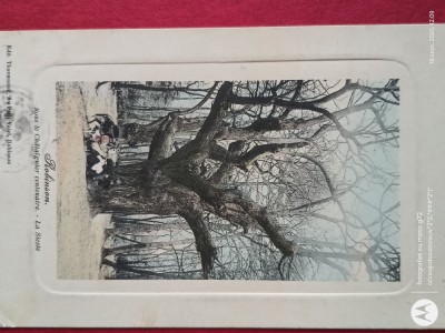 Superba carte postala ,Felicitare , Corespondenta foto