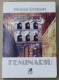 FEMINARIU de ILEANA ROMAN , roman de trecut DUNAREA , 2002