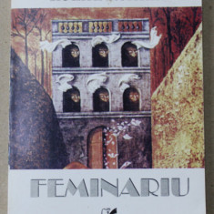 FEMINARIU de ILEANA ROMAN , roman de trecut DUNAREA , 2002