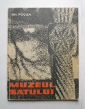 Muzeul Satului - Gheorghe Focsa