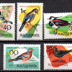 UNGARIA 1961, Fauna, Pasari, MNH, serie neuzata