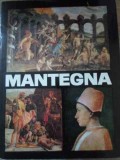 MANTEGNA. ALBUM DE ARTA-ALEXANDRU BALACI