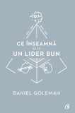 Ce inseamna sa fii un lider bun - Daniel Goleman