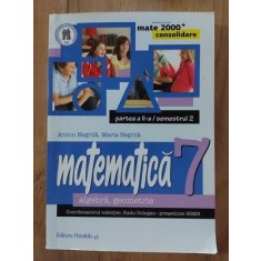 Matematica pentru clasa a 7-a (partea II) - Anton Negrila, Maria Negrila