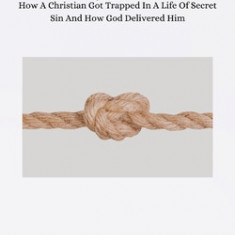 Entanglement: How A Christian Got Trapped In A Life Of Secret Sin And How God Delivered Him