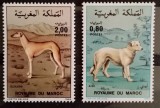 BC216, Maroc 1984, serie fauna, caini, Nestampilat