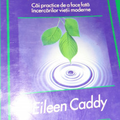 UNDELE SPIRITULUI Eileen Caddy Ghid practic pentru a face fata...