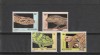 Fauna , taratoare,Bostwana ., Nestampilat