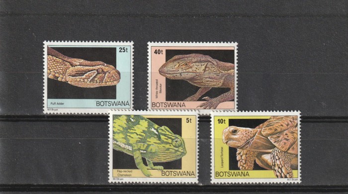 Fauna , taratoare,Bostwana .