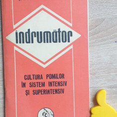 Indrumator cultura pomilor in sistem intensiv si superintensiv