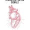 Enhanced Ischemia Classifier For ECG Signals