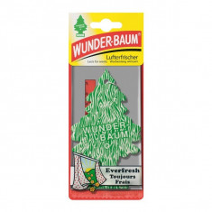 Odorizant Wunder-Baum, aroma Everfresh 3504 foto