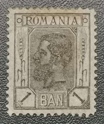 Rom&amp;acirc;nia Lp 54 Spic de gr&amp;acirc;u fără filigran 1 Ban negru nestampilat foto