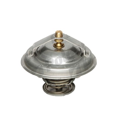Termostat lichid racire U6M613H foto