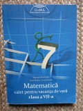 Marius Perianu, Ioan Balica, Liviu Stroie - Matematica. Caiet pentru vacanta de vara clasa a VII-a