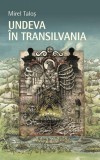 Undeva &icirc;n Transilvania - Paperback brosat - Mirel Taloș - RAO