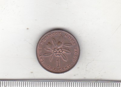 bnk mnd Jamaica 1 cent 1973 foto