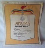 Diploma - Cintarea Romaniei - se acorda premiul 3 - Diason, Tovarasului Nicolae Buruleanu de la FOTO CLUB Timisoara - anul 1981