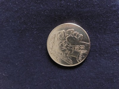 Monedă america foto