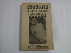 Drumul cenusii (roman) - AUGUSTIN BUZURA