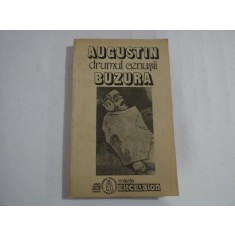 Drumul cenusii (roman) - AUGUSTIN BUZURA