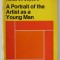 NOTES ON JAMES JOYCE &#039;S A PORTRAIT OF THE ARTIST AS A YOUNG MAN , 1971