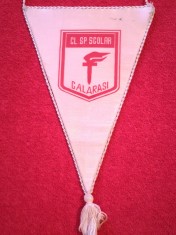 Fanion sportiv - Clubul Sportiv Scolar CALARASI