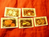 Serie Comore 1985 - Ciuperci ,5 valori stampilate, Stampilat