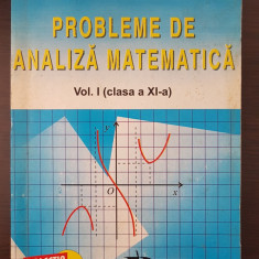 PROBLEME DE ANALIZA MATEMATICA - Petrica, Constantinescu (vol. I clasa a XI-a)