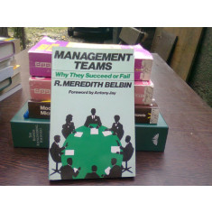 Management teams - R. Meredith Belbin (Echipe de manageri)
