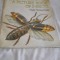 A PICTURE BOOK OF INSECTS,VITALY TANASIYCHUK album cu insecte format mare, color