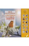 Mica enciclopedie: Cantareti in corul diminetii - Autor Anonim - Editura Aramis