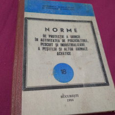 NORME DE PROTECTIA MUNCII VOL 18