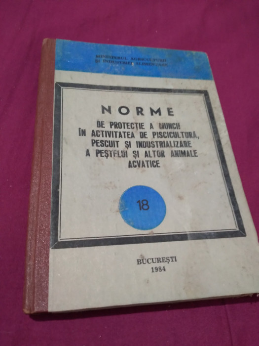 NORME DE PROTECTIA MUNCII VOL 18