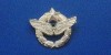 QW9 N2 25 - insigna - militar - aviatie - Armata SUA, America de Nord