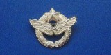 QW9 N2 25 - insigna - militar - aviatie - Armata SUA, America de Nord