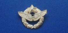 QW9 N2 25 - insigna - militar - aviatie - Armata SUA