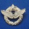 QW9 N2 25 - insigna - militar - aviatie - Armata SUA