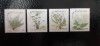 Botswana-Craciun 1992,flora,flori-serie completa nestampilate-MNH (W1), Nestampilat