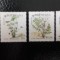 Botswana-Craciun 1992,flora,flori-serie completa nestampilate-MNH (W1)